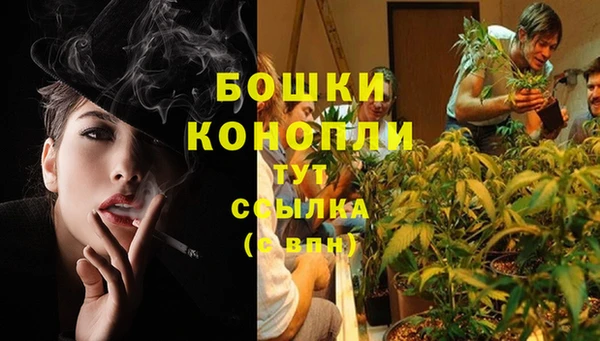 mix Краснослободск