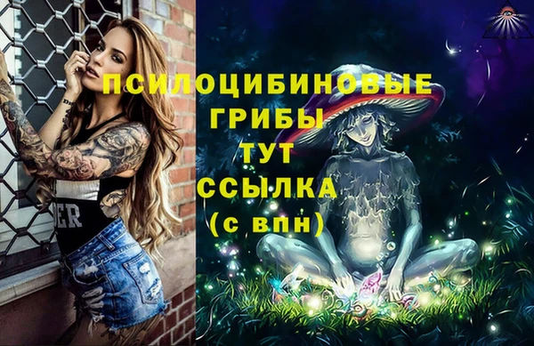 стафф Нижний Тагил